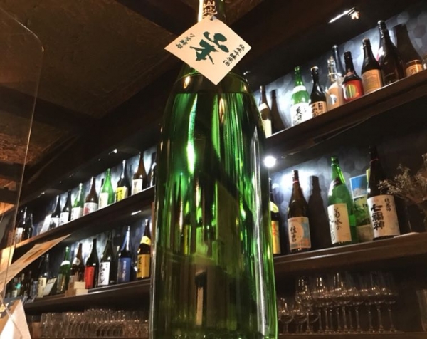 山本　7号酵母